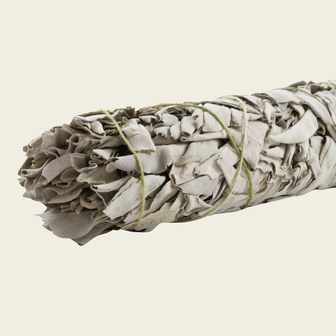 Wild White Sage Smudge Stick