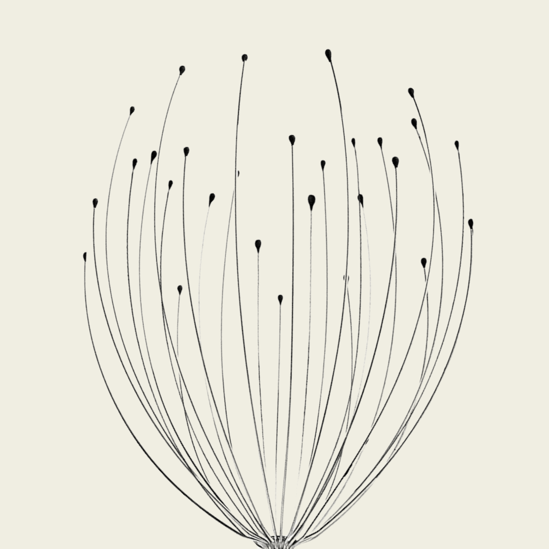 Octopus Head Massager With 28 Arms