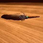 ASMR Smudge Feather
