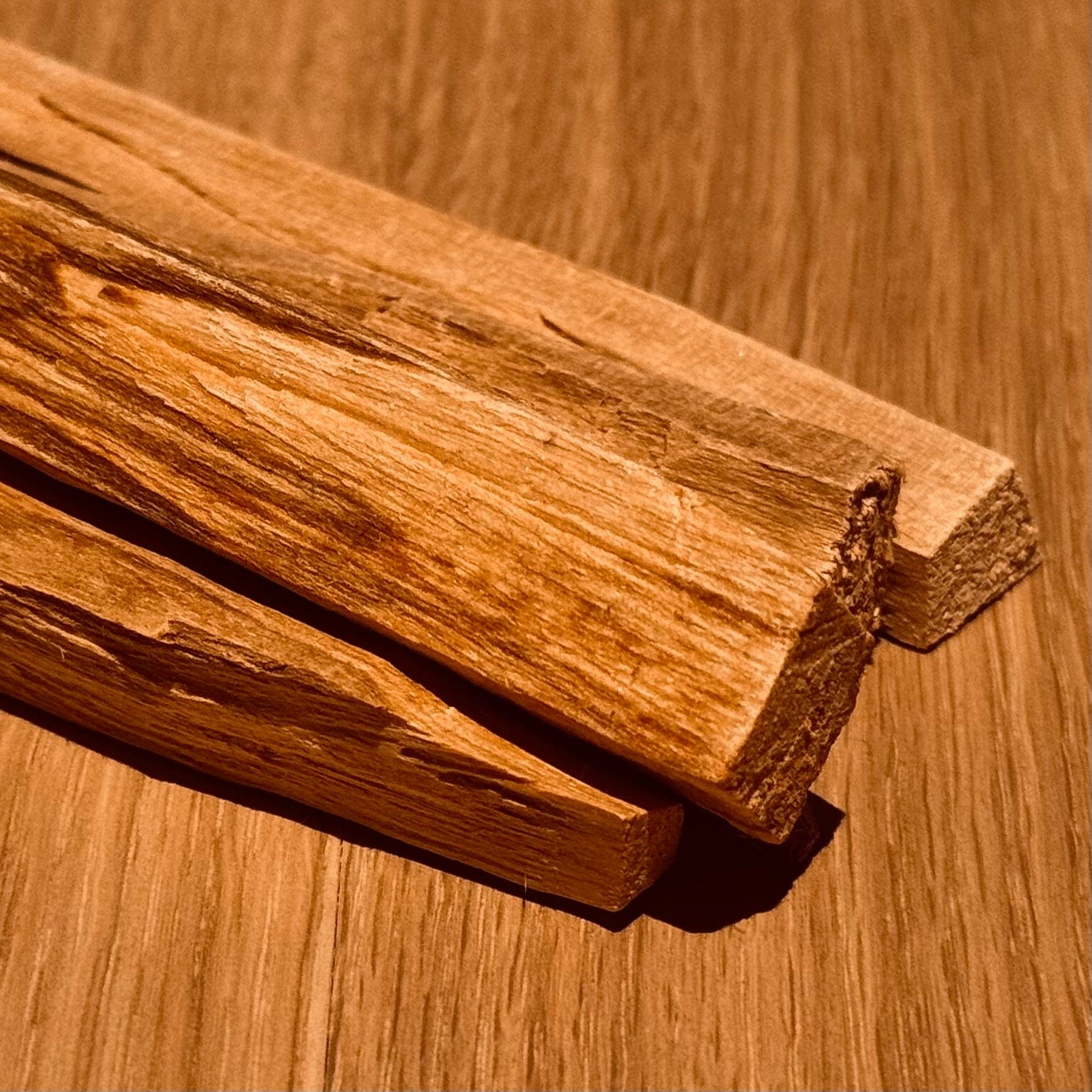 Palo_Santo_close.jpg
