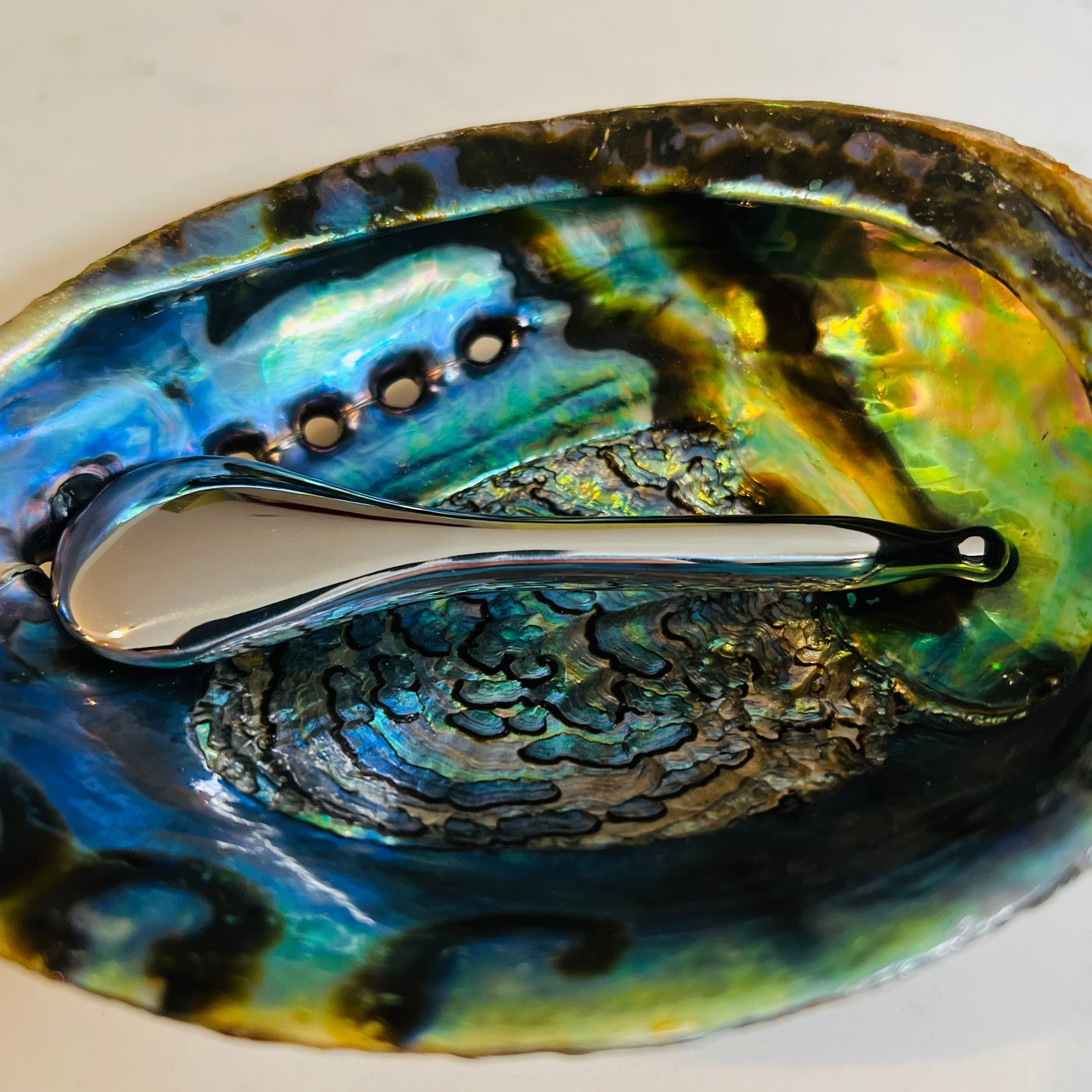 StainlessSteelSpoonstilllife.jpg