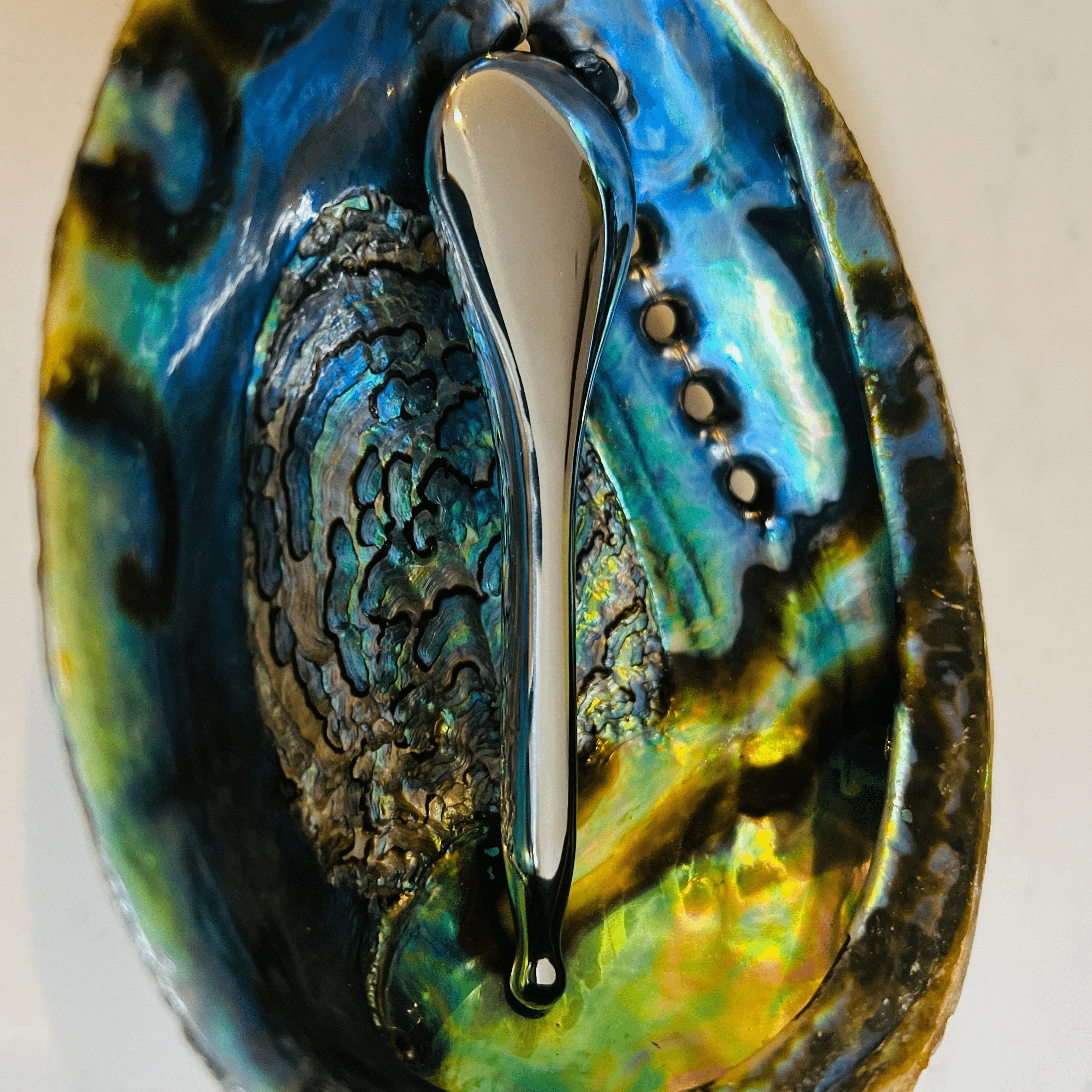 StainlessSteelSpoonstilllife.png