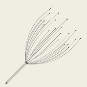 Octopus Head Massager With 20 Arms