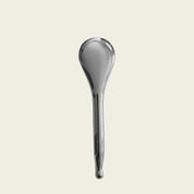 Stainless Steel Spoon