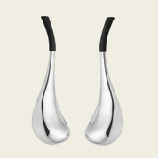Stainless Steel Ice Globe Facial Spoon Round - Set of Two